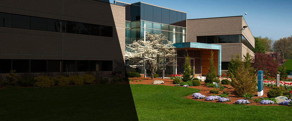 Wichita Falls Landscapers