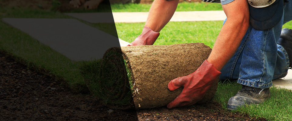 Wichita Falls Landscapers